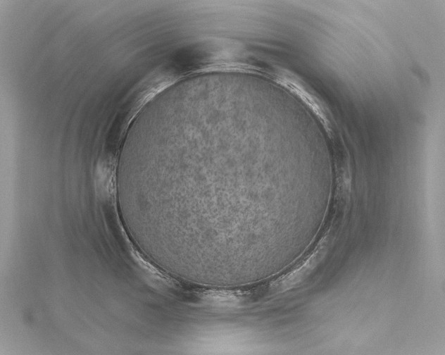 X0000115651049200912011518