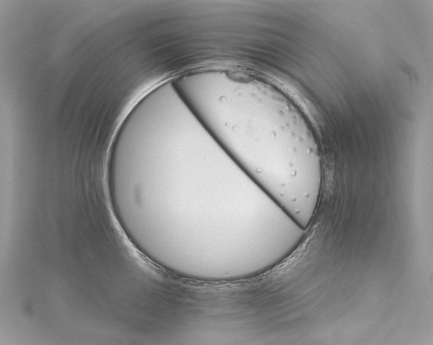 X0000115651050200912011518