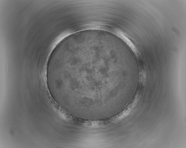 X0000115651051200912011518