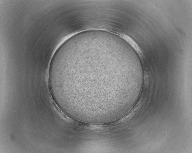 X0000115651052200912011518