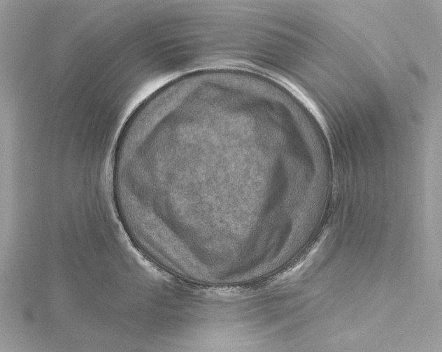 X0000115651053200912011518