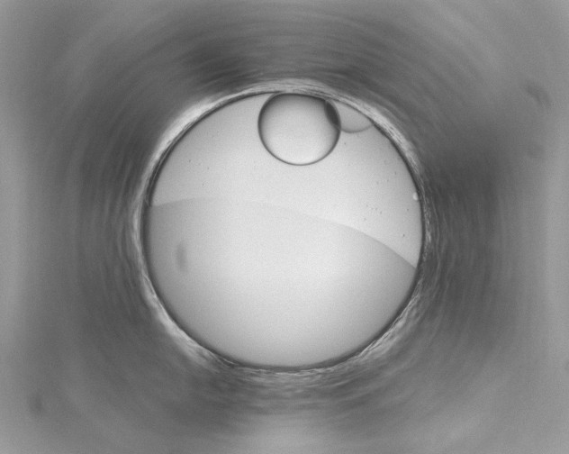 X0000115651054200912011518