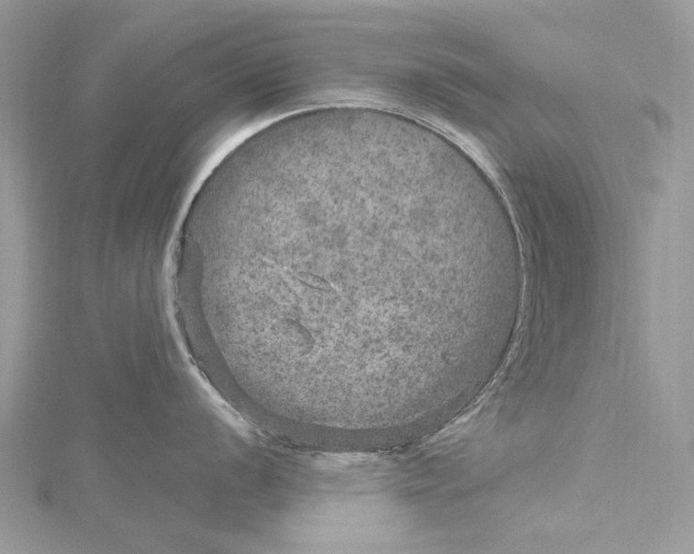 X0000115651056200912011518