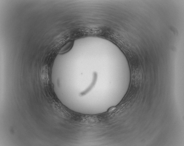 X0000115651058200912011517