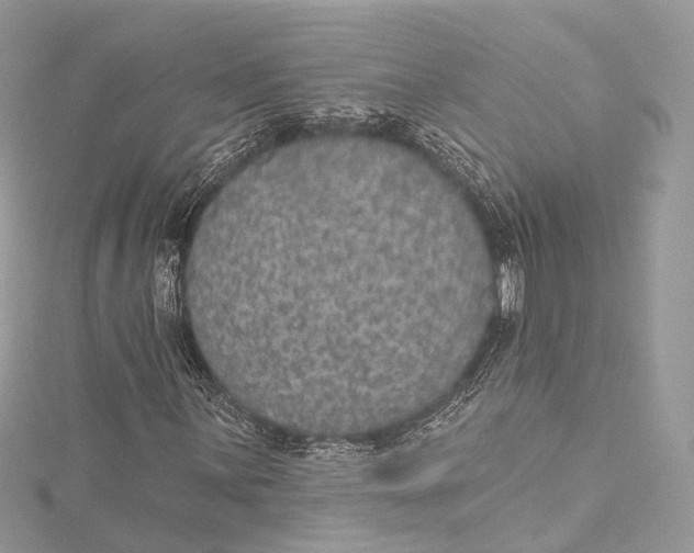 X0000115651059200912011517