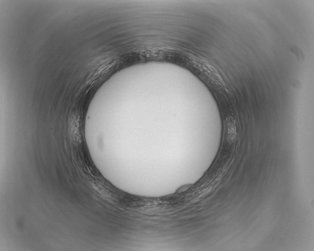 X0000115651060200912011517