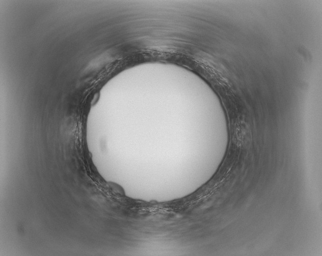 X0000115651061200912011517