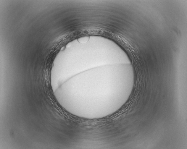 X0000115651062200912011517