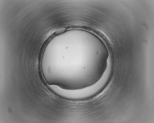 X0000115651065200912011517