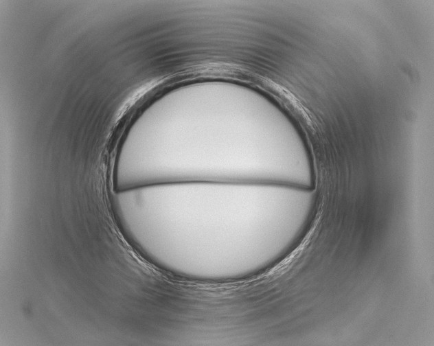 X0000115651066200912011517