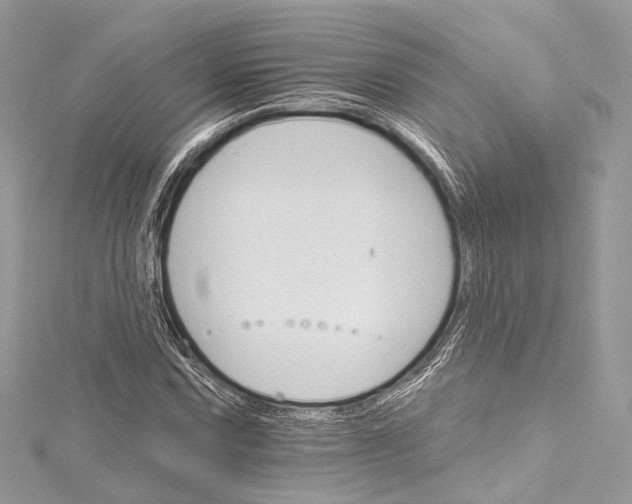 X0000115651067200912011517