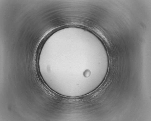 X0000115651068200912011517