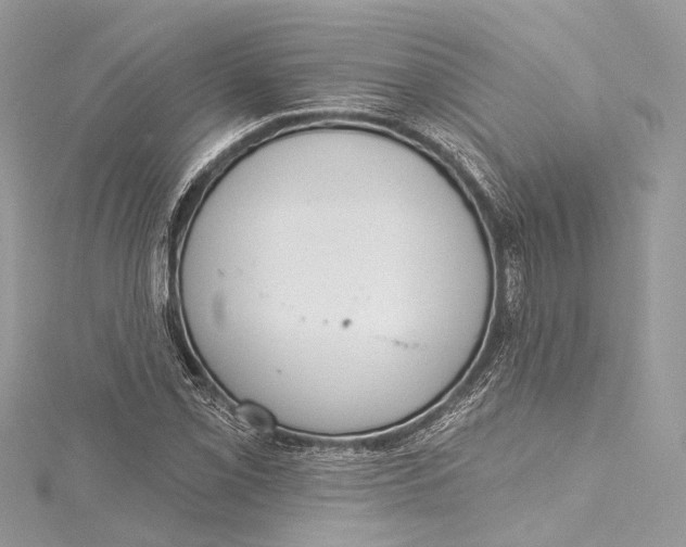 X0000115651069200912011517