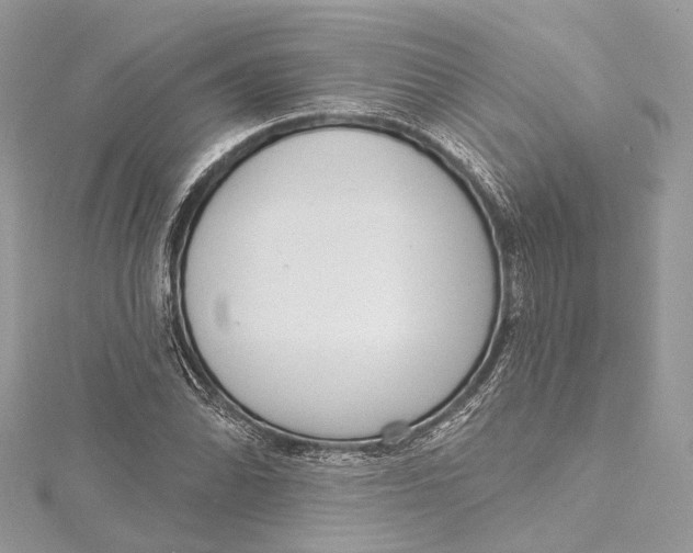 X0000115651070200912011517