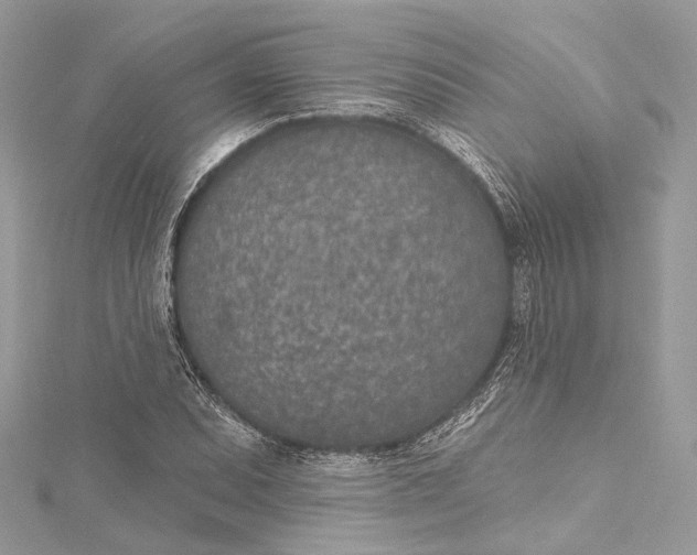 X0000115651071200912011517