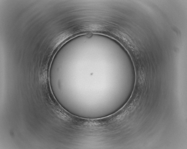 X0000115651073200912011517