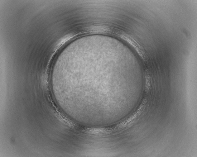 X0000115651074200912011517