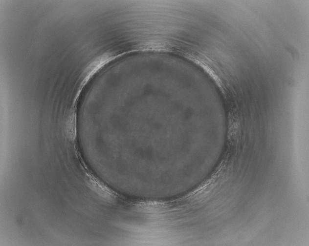 X0000115651075200912011517