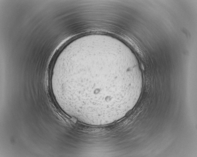 X0000115651076200912011517