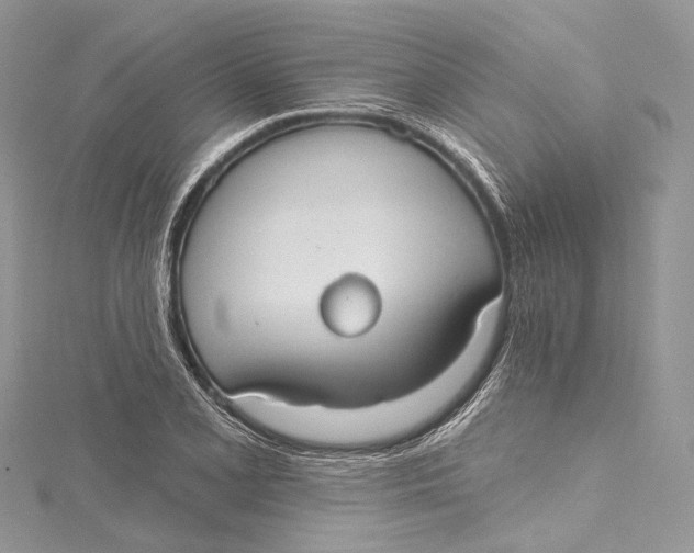 X0000115651077200912011517