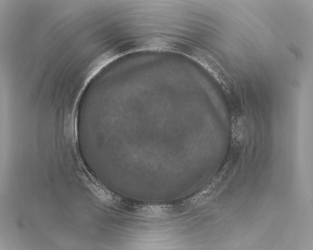 X0000115651078200912011517