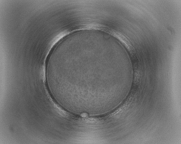 X0000115651079200912011517