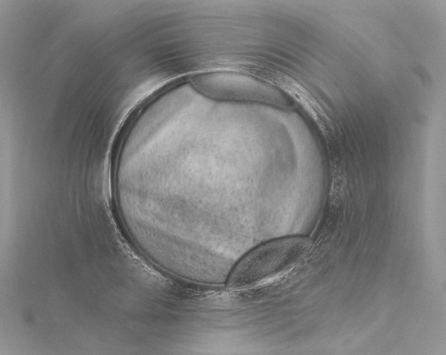 X0000115651080200912011517