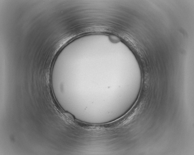 X0000115651081200912011517