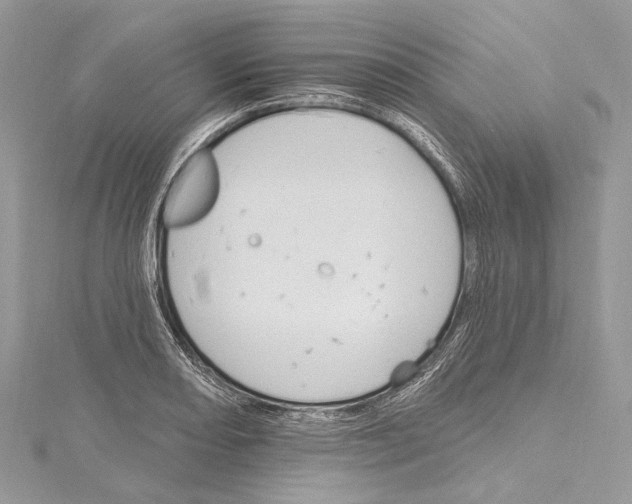 X0000115651082200912011517