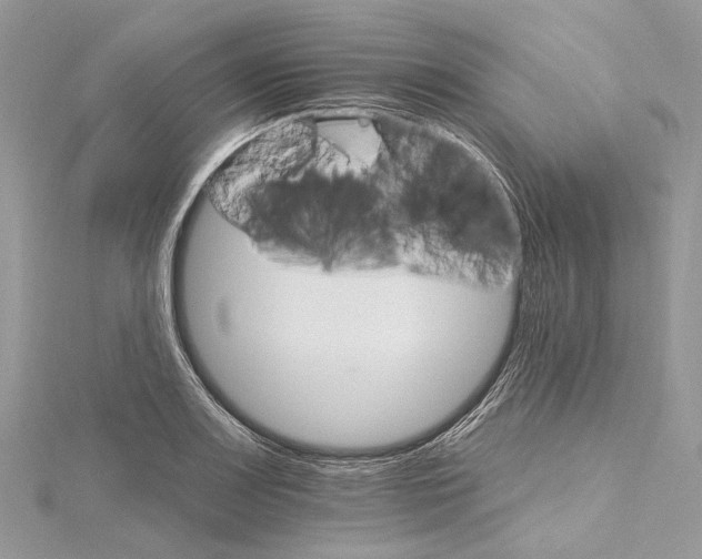 X0000115651083200912011517