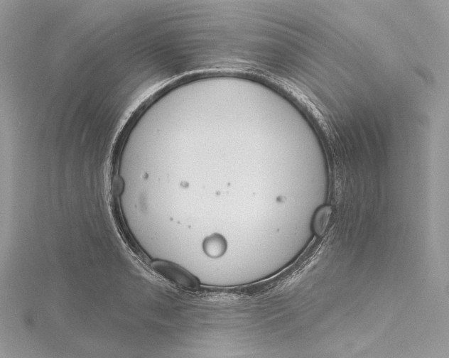 X0000115651085200912011517