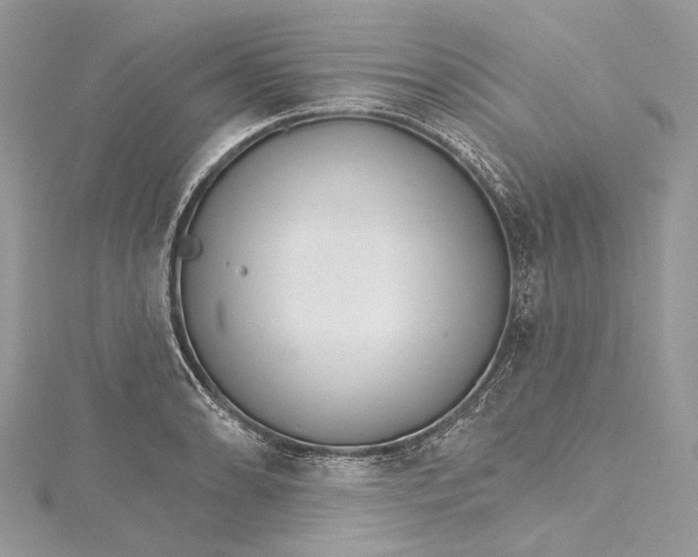 X0000115651086200912011517