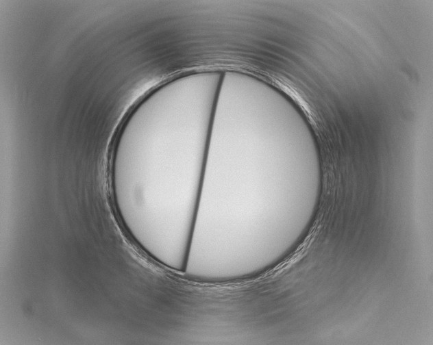 X0000115651087200912011517