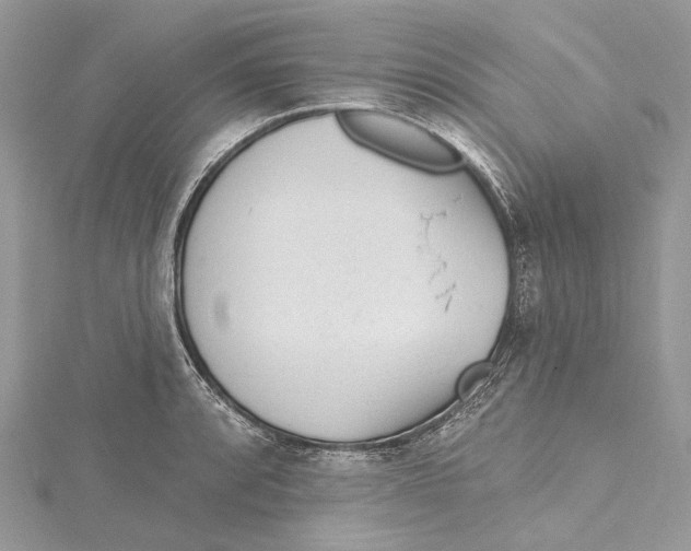 X0000115651088200912011517