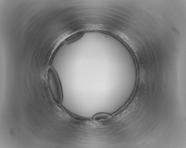 X0000115651089200912011517