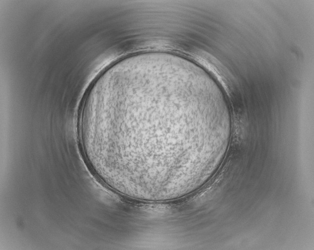 X0000115651090200912011517