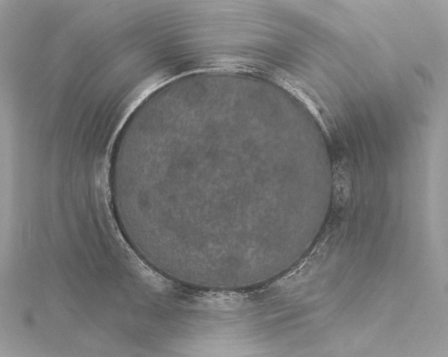 X0000115651091200912011517