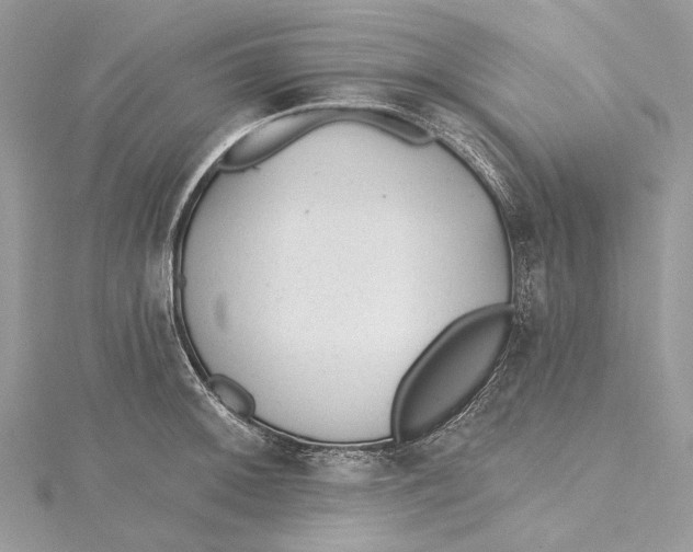 X0000115651092200912011517