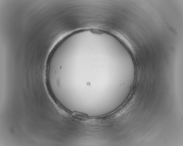 X0000115651093200912011517