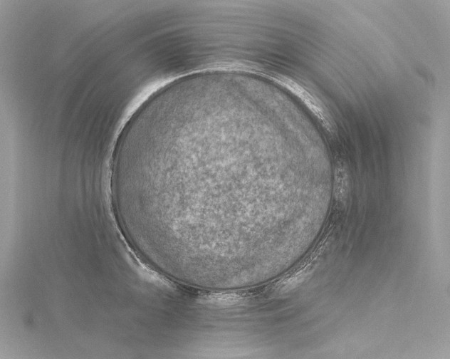 X0000115651094200912011517