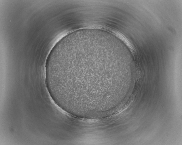 X0000115651095200912011517