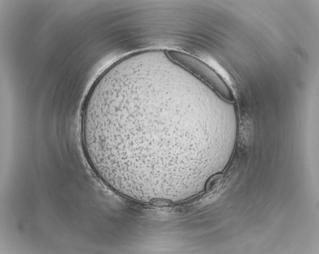 X0000115651096200912011517