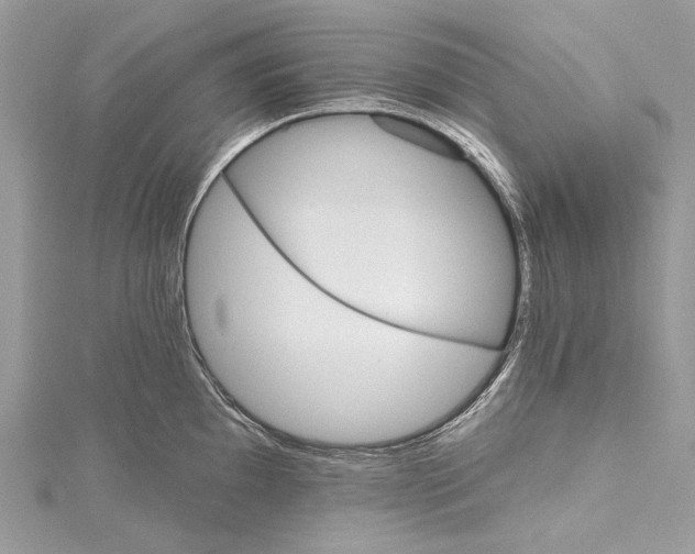 X0000115651097200912011517