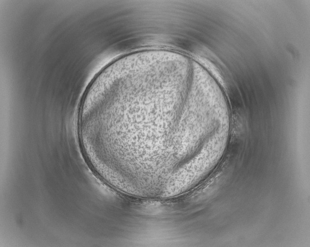 X0000115651098200912011517