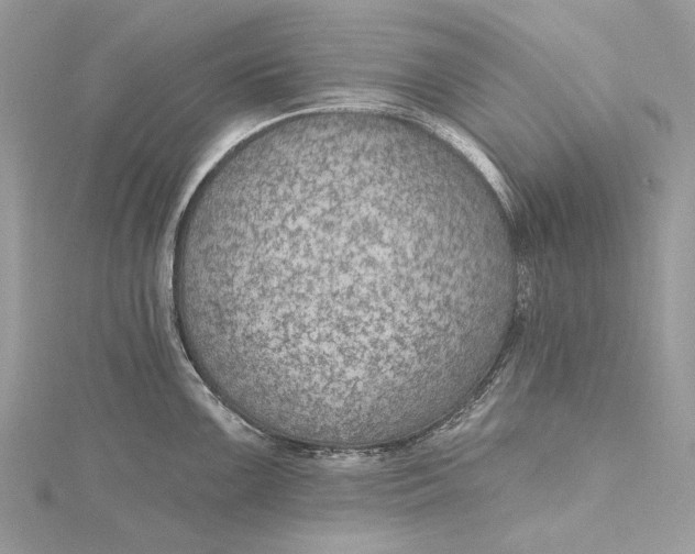 X0000115651099200912011517