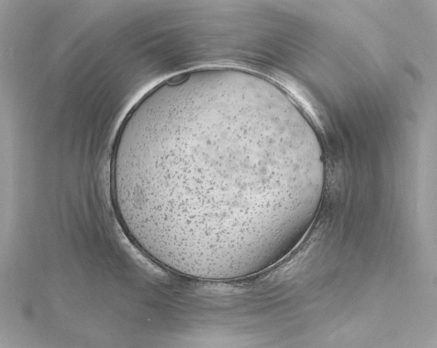 X0000115651100200912011517