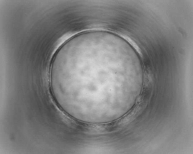 X0000115651101200912011517