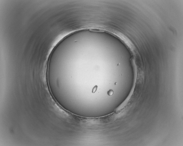 X0000115651102200912011517