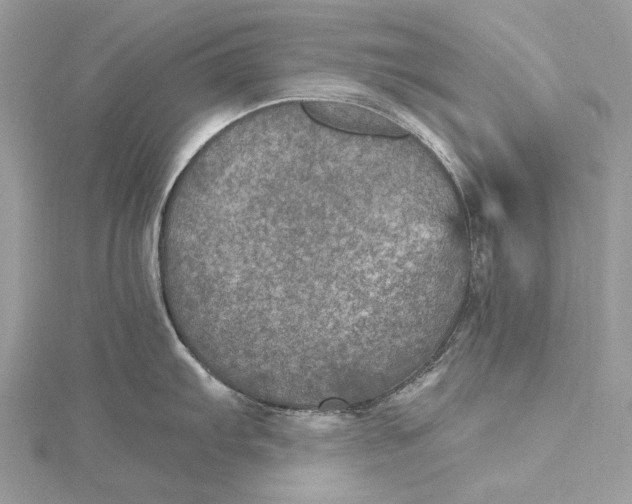 X0000115651103200912011517