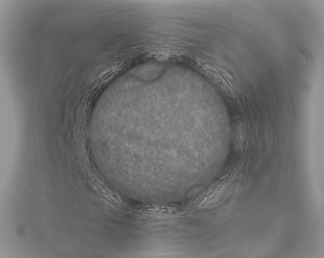 X0000115651105200912011516